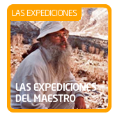 El Viaje &middot; TAROT MAestro Santiago